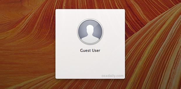 Guest users