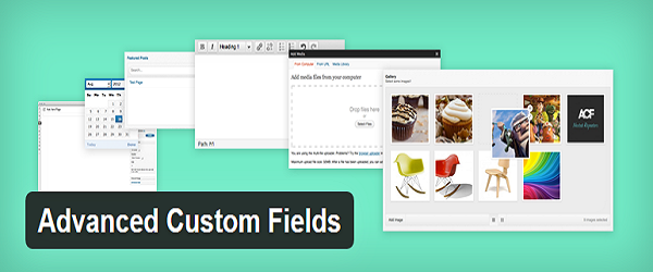 Advanced Custom Fields