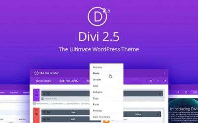 Divi 2.5 WordPress Theme Resource Toolbox