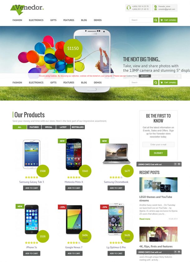 10 Amazing Themes for your WP based e-Store