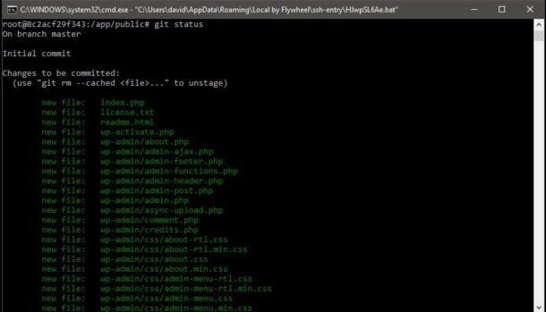 local by flywheel debug local by flywheel debug