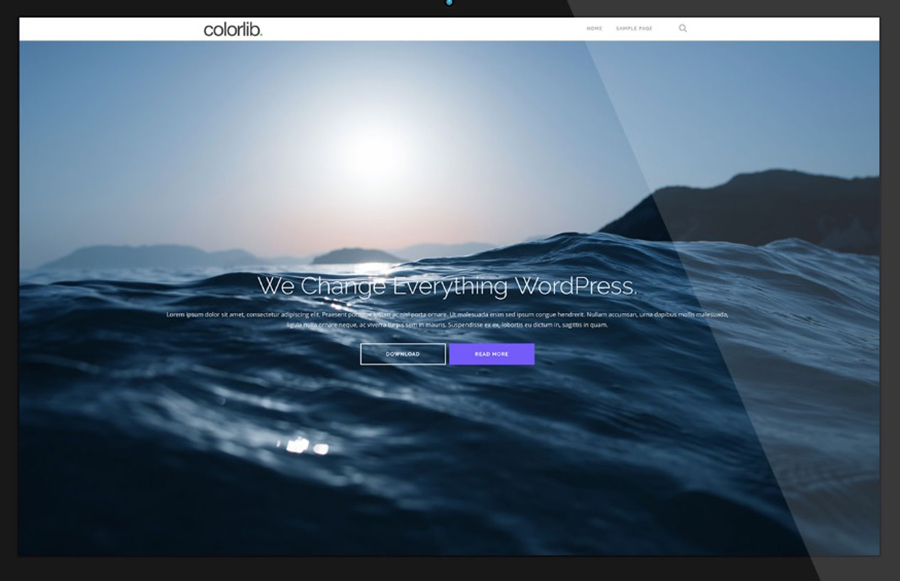 Colorlib WordPress Template