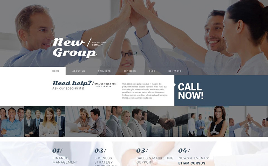 Consulting Company Free WordPress Template