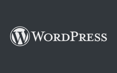 Publishing systems – WordPress 2.8