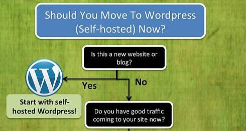 Should I Move To WordPress? – Infographic