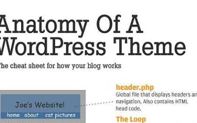 Anatomy of a WordPress Theme – Infographic