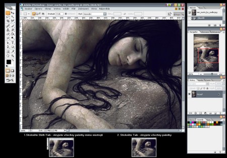 Shift+Tab Hides all Adobe Palettes Except Toolbox