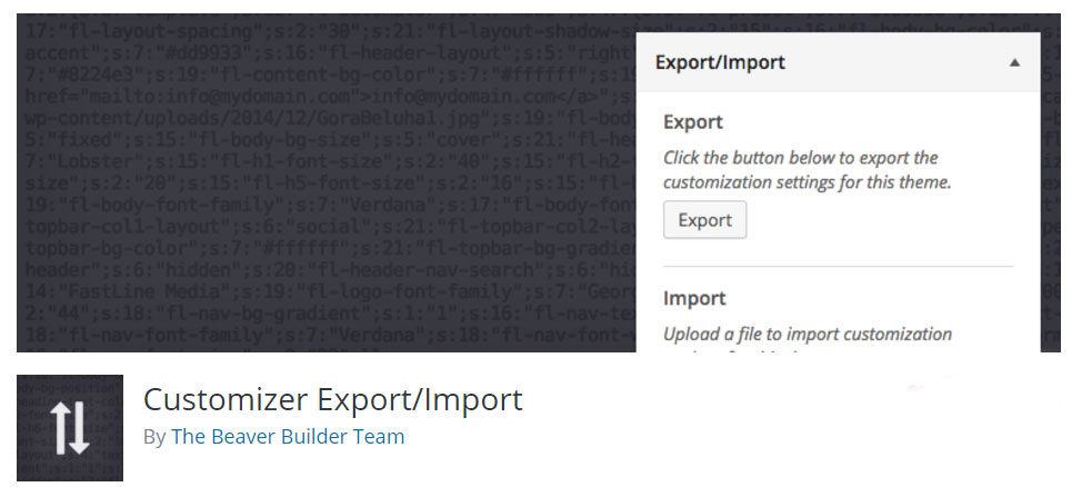 Customizer Export/Import