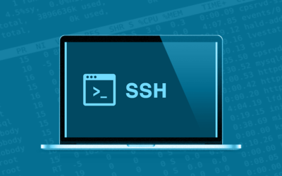 How to start using SSH and WP-CLI on remote server