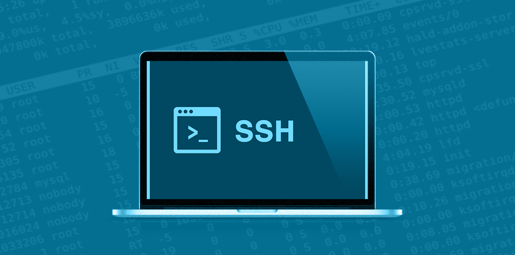 How to start using SSH and WP-CLI on remote server