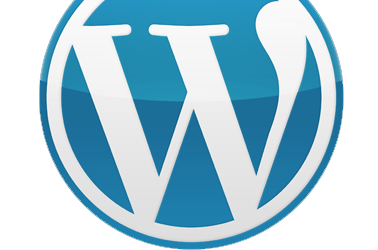 Publishing systems – WordPress 2.6