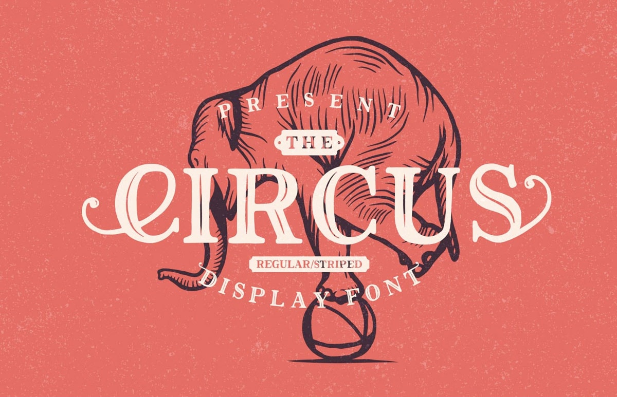 Circus