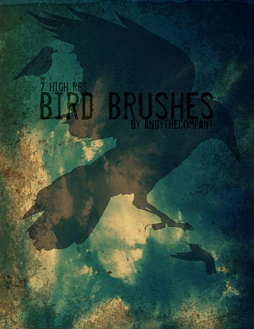 Hi Res Bird Brushes by ~andythecompany on deviantART