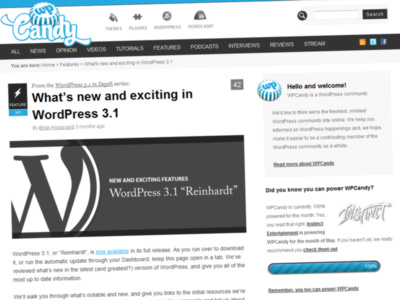 Publishing systems – WordPress 3.1